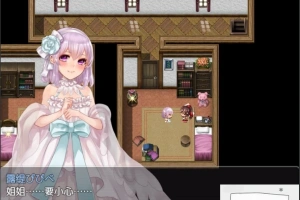 【PC/2D/精品RPG/汉化/全CV】阿尔迪亚塔 Tower of Ardia 精翻汉化版+存档【1.2G】-小胖资源分享网
