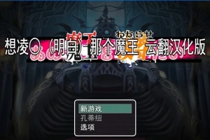 【2D/RPG/汉化】想凌汝那个魔王 云翻汉化版电脑【800M】-小胖资源分享网