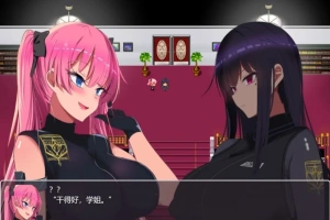 【PC/2D/RPG/汉化】揉便器工厂间灭队 云翻汉化版【1G】-小胖资源分享网
