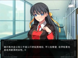 [ADV/汉化] 大小姐是学园的RBQ！NTR银乱生活日志！AI汉化版电脑 [1.1G]-小胖资源分享网