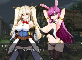 【RPG汉化】银乱的圣骑士HolyKnightBitch【+PC】完整汉化版+全CG【600M】【补档】-小胖资源分享网