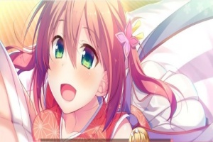 [大型ADV/汉化/全CV] 将军大人芳华正茂 正篇+FD V1.1 PC+安卓模拟精翻汉化版[百度] [8.4G]』-小胖资源分享网