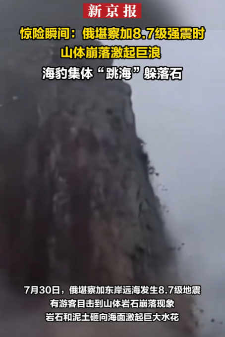 一场突如其来的8.7级大地震引发了自然界惊人的奇观，一群海豹却做出了令人难以置信的反应——它们集体跃入大海-小胖资源分享网