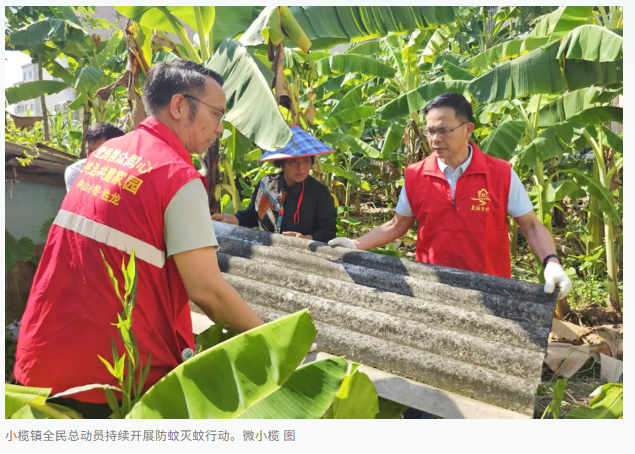 在广东各地，针对蚊虫防控，各级党政领导干部深入一线，与民众共同参与，展开了一场防蚊灭蚊的战斗。他们不仅清理积水、喷洒消毒药剂，还与市民携手并肩，共同捍卫健康生活环境。-小胖资源分享网