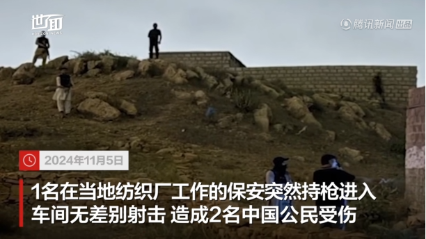 袭击过中国人的他们，被击毙！-小胖资源分享网