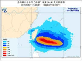 台风“杨柳”预计将在次日抵达沿海地区  预计强降雨将引发一系列灾害-小胖资源分享网