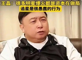 王晶表示，众多明星之所以能够迅速走红，很大程度上是资本运作的结果。追星愚蠢-小胖资源分享网