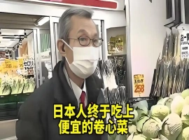 中国原本出口至美国的蔬菜现在转向了日本市场-小胖资源分享网