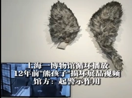 两个小孩损坏公共展品，监控视频播放12年警示公众，强调展品保护和未成年人教育的重要性。-小胖资源分享网