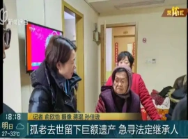 上海孤老人士的500万遗产继承人已确认！遗产分配方案如下：-小胖资源分享网