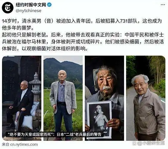 日本网民表示：通过了解日本侵华的历史，深感震撼，我们坚定地铭记历史，绝不容许被遗忘！-小胖资源分享网
