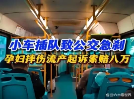 一起因公交车急刹车导致孕妇流产的案件在法院进行了审理，并已作出判决。-小胖资源分享网