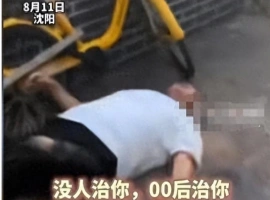 沈阳00后涉嫌故意撞人事件进展：受害者遵守交通信号灯指示无违规行为-小胖资源分享网