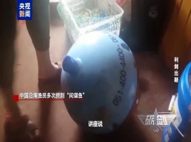 渔民频繁捕获“神秘鱼”，专家呼吁：一旦发现可疑装置，请立即上报-小胖资源分享网
