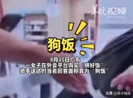 一位女性顾客在点餐平台“拼好饭”上订餐时，遭遇骑手当面称呼其食物为“狗饭”。平台表示会对涉事骑手处罚。-小胖资源分享网