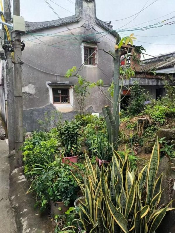 重病家庭住60㎡村宅，求分配新宅基地遭拒，当事人称确权出错，引发关注。-小胖资源分享网
