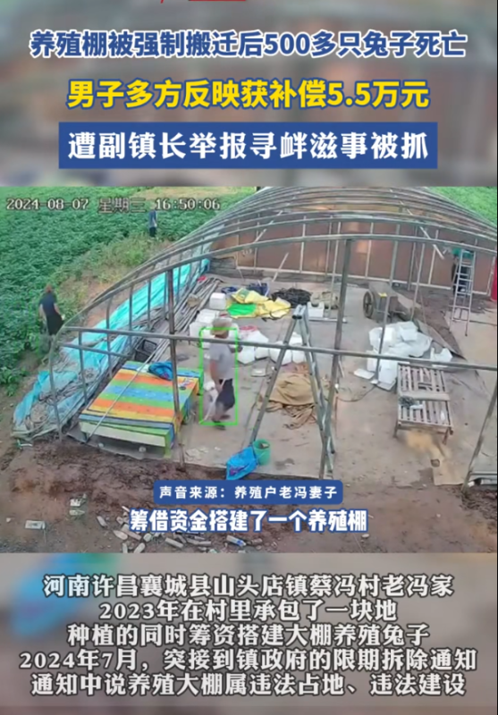 养殖棚迁址致兔子亡，男子维权遭副镇长举报，终被捕。-小胖资源分享网
