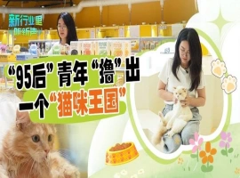经过4个月的精心制作，一位年轻人巧妙地创造了一个“猫咪地铁站”，该作品引起了都市白领们的强烈情感共鸣。-小胖资源分享网