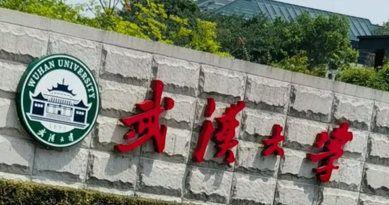 武汉大学全面调查肖某某纪律处分及杨某某学位论文问题，严肃处理学术不端行为。-小胖资源分享网