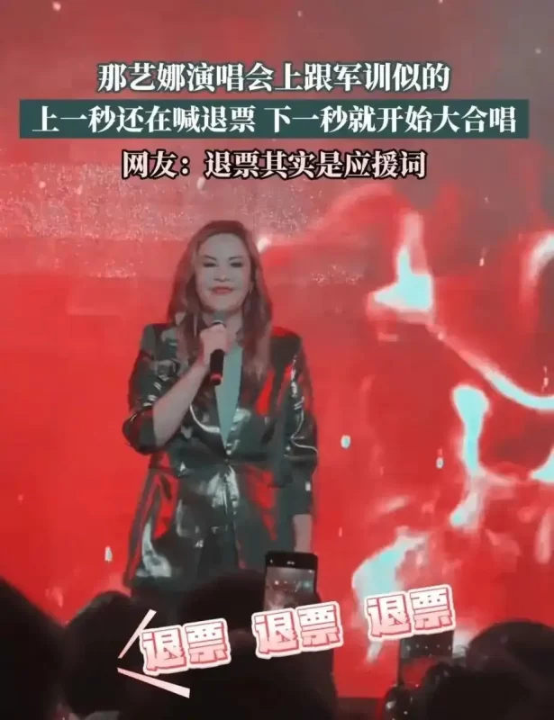 仅需99元，你就能在她的演唱会中尽情欢笑长达两小时：为何那艺娜的演唱会成为了情绪消费的典范？-小胖资源分享网