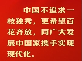中国现代化之路，秉持和平发展的理念，致力于构建一条独特的现代化路径。-小胖资源分享网