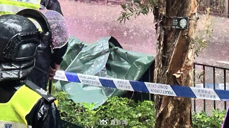 香港警方发现一具“无头尸”头颅，属一名54岁的美籍男子。该男子生前患有疾病，并面临生活上的诸多困扰。目前，头颅已在死者体内被发现。-小胖资源分享网