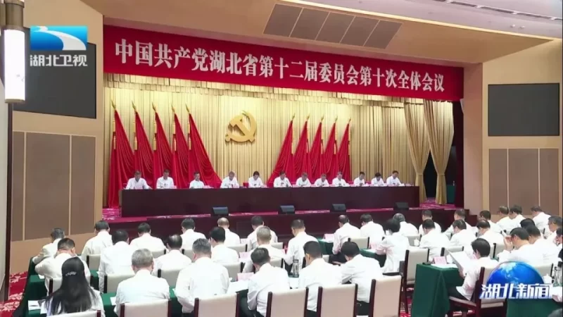 湖北省委强调：激发干部勇于担当、积极作为！-小胖资源分享网