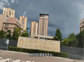 医学生实习转至电子制造企业，体验11小时站立工作，反思实习模式与工作环境带来的挑战。-小胖资源分享网