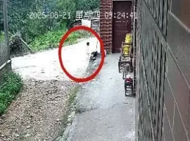 湖南省一名2岁女童走失，警方在其家附近的山林石缝中成功寻回，目前该女孩已安全返回。-小胖资源分享网