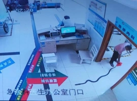 一位78岁的高龄者不幸被眼镜王蛇咬伤，其家属在紧急状况下携带了一条长达两米的蛇一同赶往医院进行救治。-小胖资源分享网