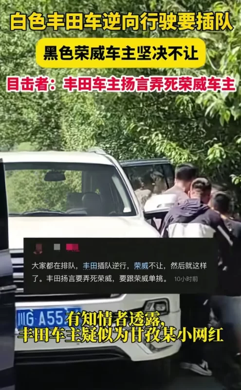 丰田车主违规变道试图插队，遭对方拒绝后，竟威胁对方弄死你。-小胖资源分享网
