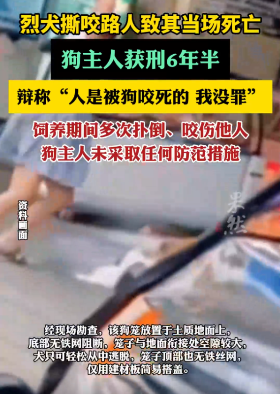 频繁造成事故的恶犬导致人员受伤，然而狗的主人却辩称：“人员的死亡是因为狗咬所致，我对此并无责任！”-小胖资源分享网