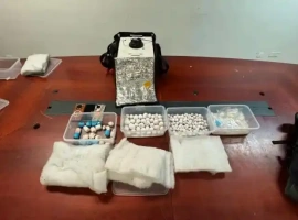 游客在步入洗手间时，不小心将超过200枚鹦鹉蛋不慎冲入下水道。-小胖资源分享网