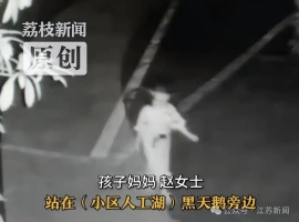 凌晨时分，一名5岁的小女孩在梦中游荡，当她被发现时，正孤零零地站在湖畔。-小胖资源分享网