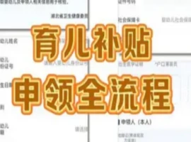 自8月26日至27日，育儿补贴的申请平台正式投入使用。-小胖资源分享网