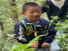 一名男孩在夏令营期间神秘失踪，与此同时，团内还有7名患有自闭症的儿童。-小胖资源分享网