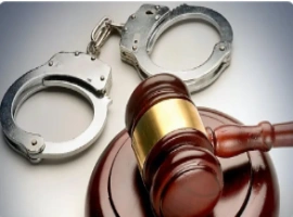 演员李某因诈骗罪被判罚260万元并判处有期徒刑11年。-小胖资源分享网