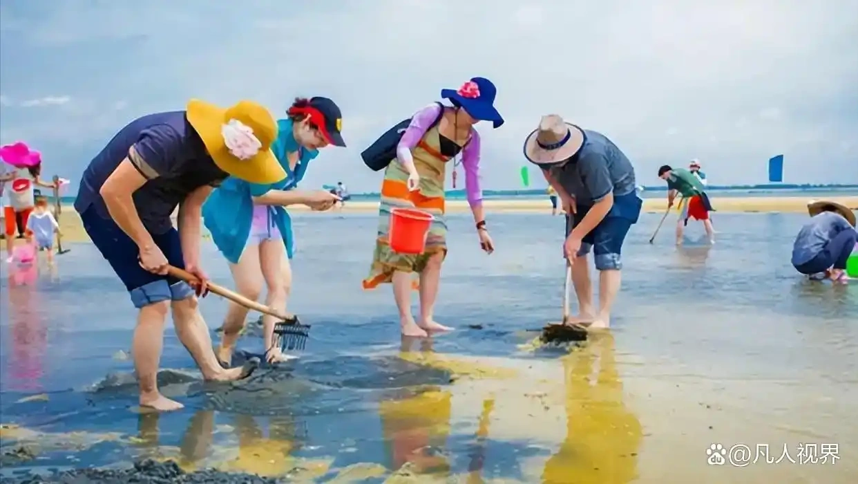 曝光：日照某赶海园涉嫌投放人工养殖的蛤蜊-小胖资源分享网