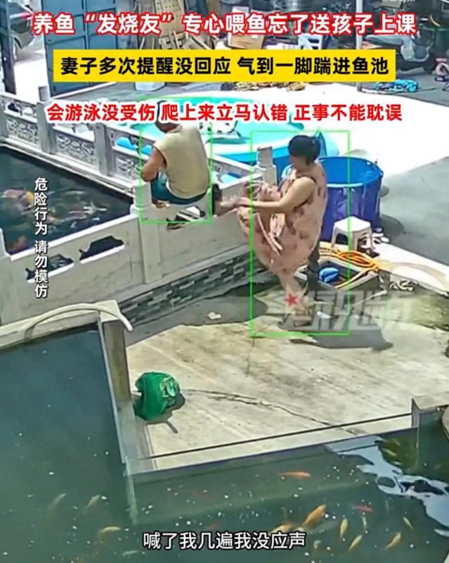 父亲因喂鱼疏忽错过送孩子上课，被妻子踢入鱼池-小胖资源分享网