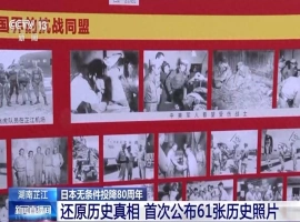 深度解读：61张宝贵历史影像，全方位呈现抗日战争的全貌-小胖资源分享网