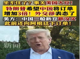 特朗普期望中国将大豆采购量提升至原来的三倍，我国外交部作出回应。-小胖资源分享网