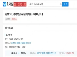 魏大勋父亲关联企业资产被冻结500万，面临233万执行程序，引发关注。-小胖资源分享网